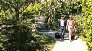 Un sendero con escaleras rodeado de exuberante vegetación.