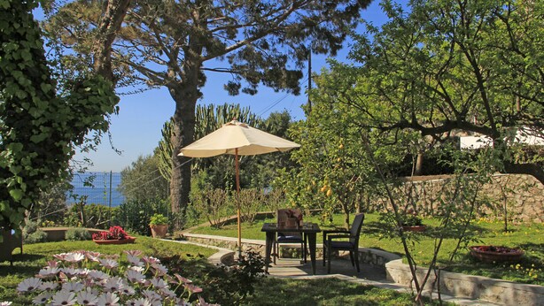 Un patio con mesa y sillas, rodeado por un jardín con diversas plantas y flores.