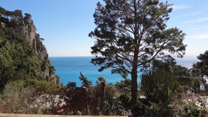 Un paisaje costero con un pino destacado, acantilados rocosos y una vista despejada del mar.