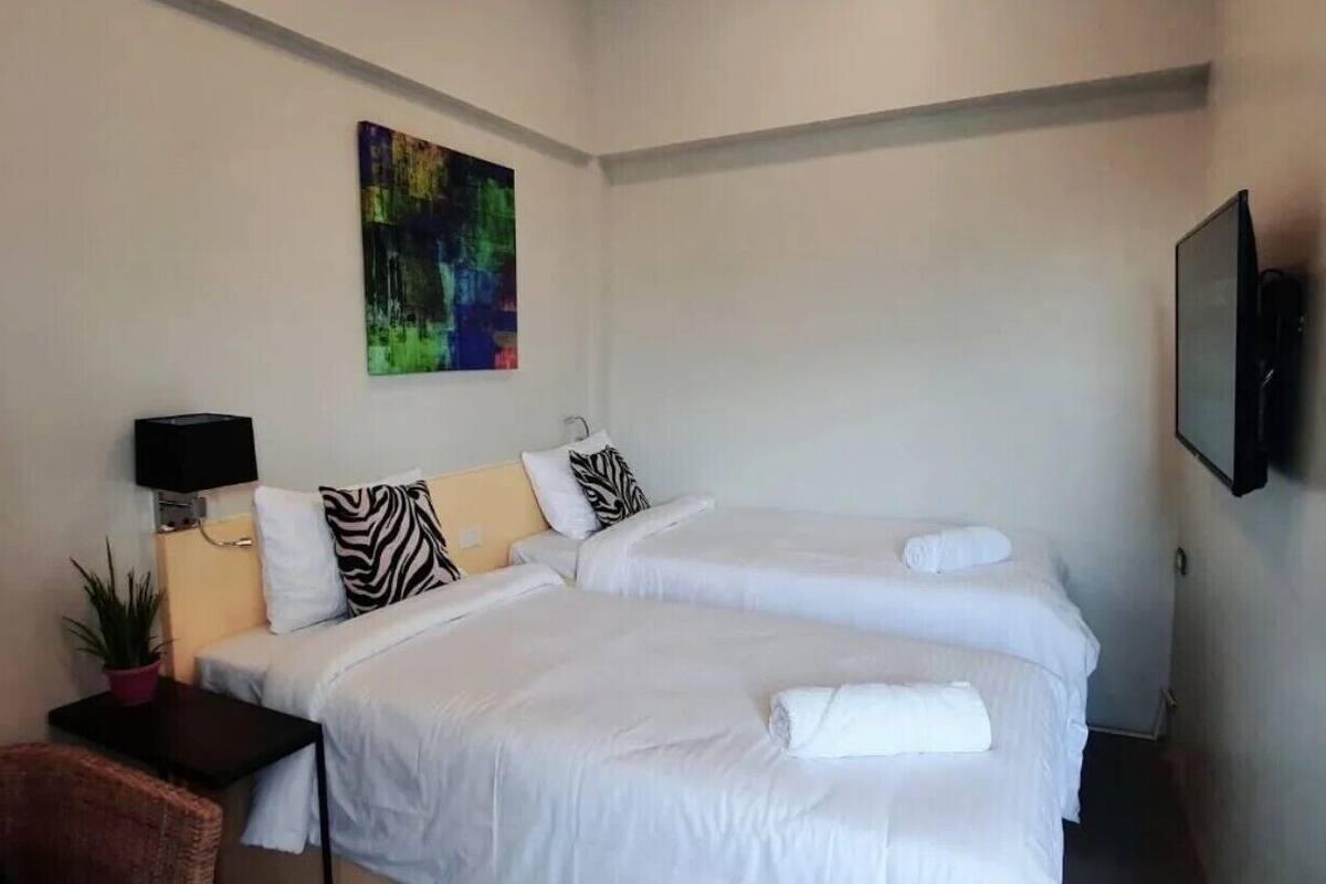 Habitación de hotel con dos camas, televisión, un cuadro y una pequeña mesa con una planta.