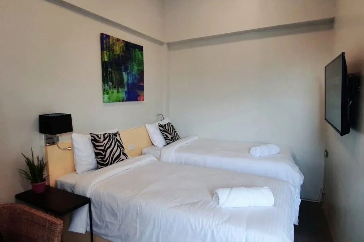 Habitación de hotel con dos camas, televisión, un cuadro y una pequeña mesa con una planta.