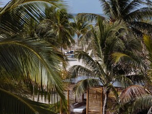 8 restaurants, Mexican cuisine