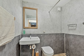 淋浴设施、吹风机、毛巾