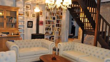 Télévision, cheminée, lecteur de DVD, livres