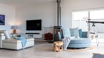 Smart TV, fireplace, video games, DVD player