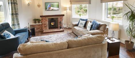 Fernseher, Kamin, DVD-Player, Bücher