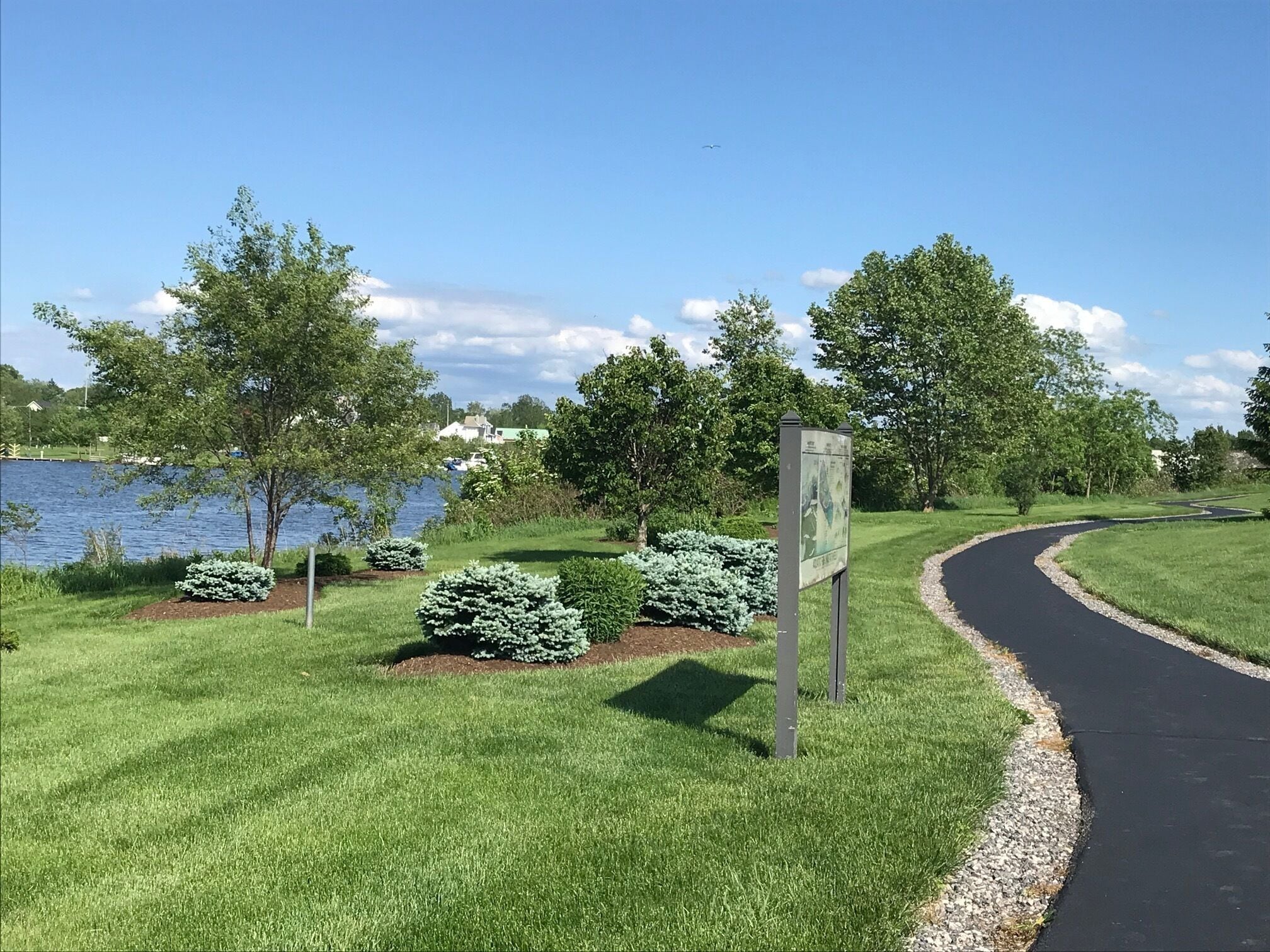 Un parc avec un chemin pavé, de vastes pelouses et des arbres.