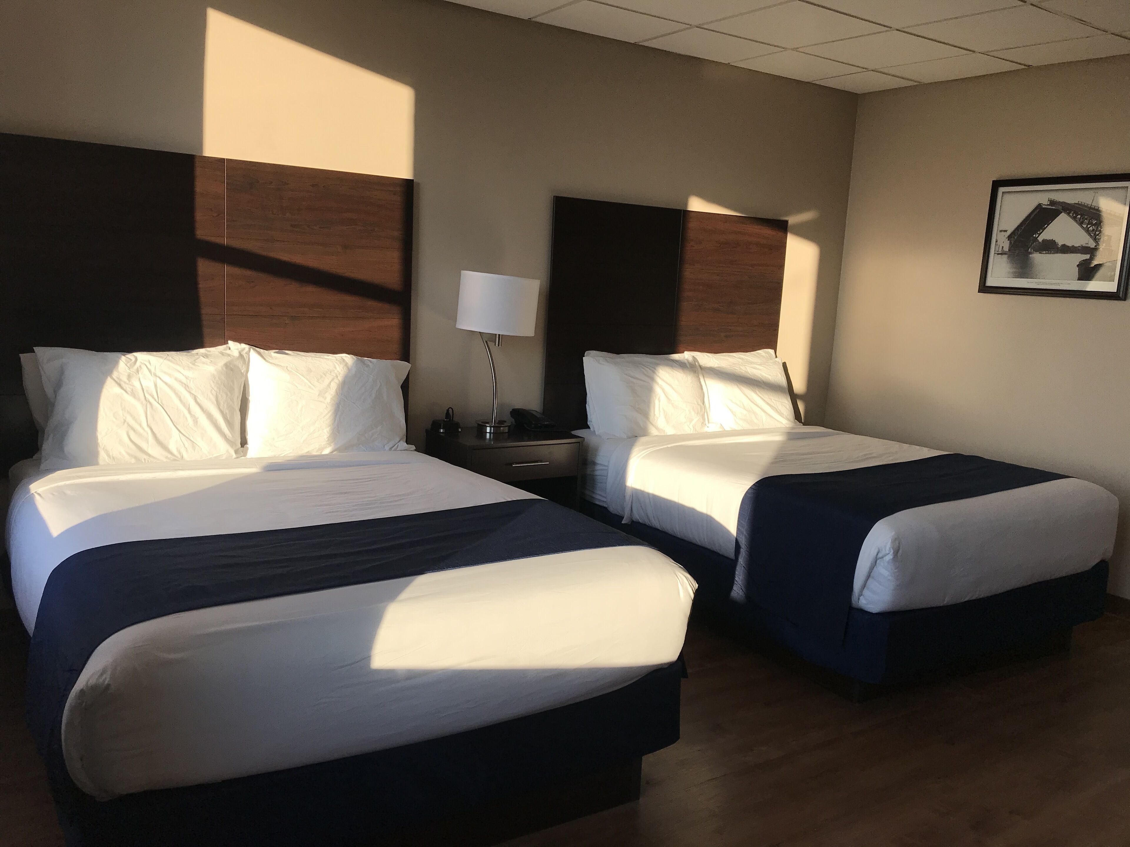 Premium bedding, down duvets, pillow-top beds, in-room safe