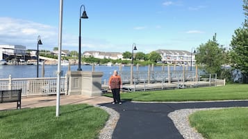 A waterfront park with a walking path, benches, and a lamp post.