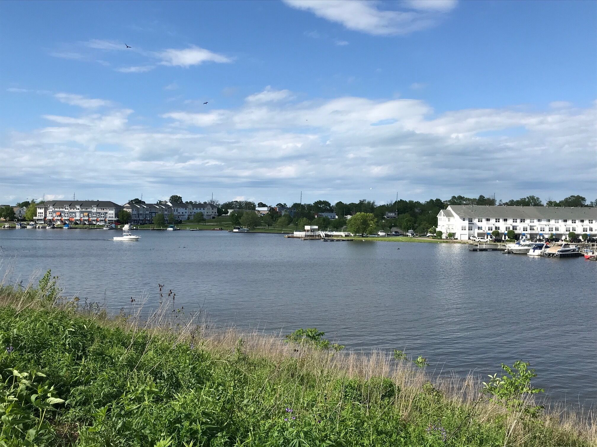 A waterfront view with boats, a marina, and buildings along the shore.