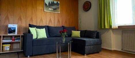 Fernseher