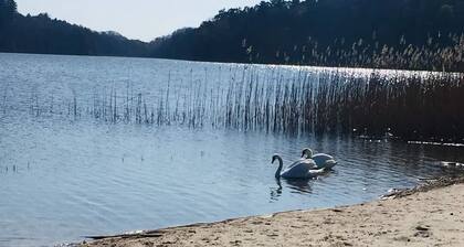 Lomatalo Kolczewo 1-4 hengelle - lomatalo