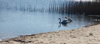 Lomatalo Kolczewo 1-4 hengelle - lomatalo