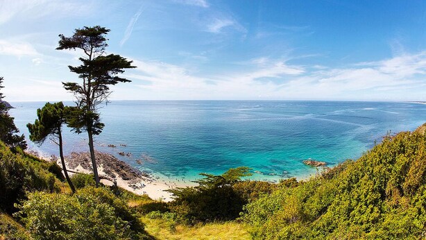 Un paisaje costero con una vista despejada del mar, una playa de arena y abundante vegetación.