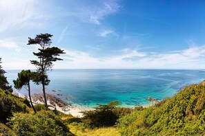 Eine Küstenlandschaft mit freiem Blick auf das Meer, einem Sandstrand und dichter Vegetation.