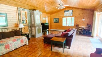 Télévision, cheminée, livres