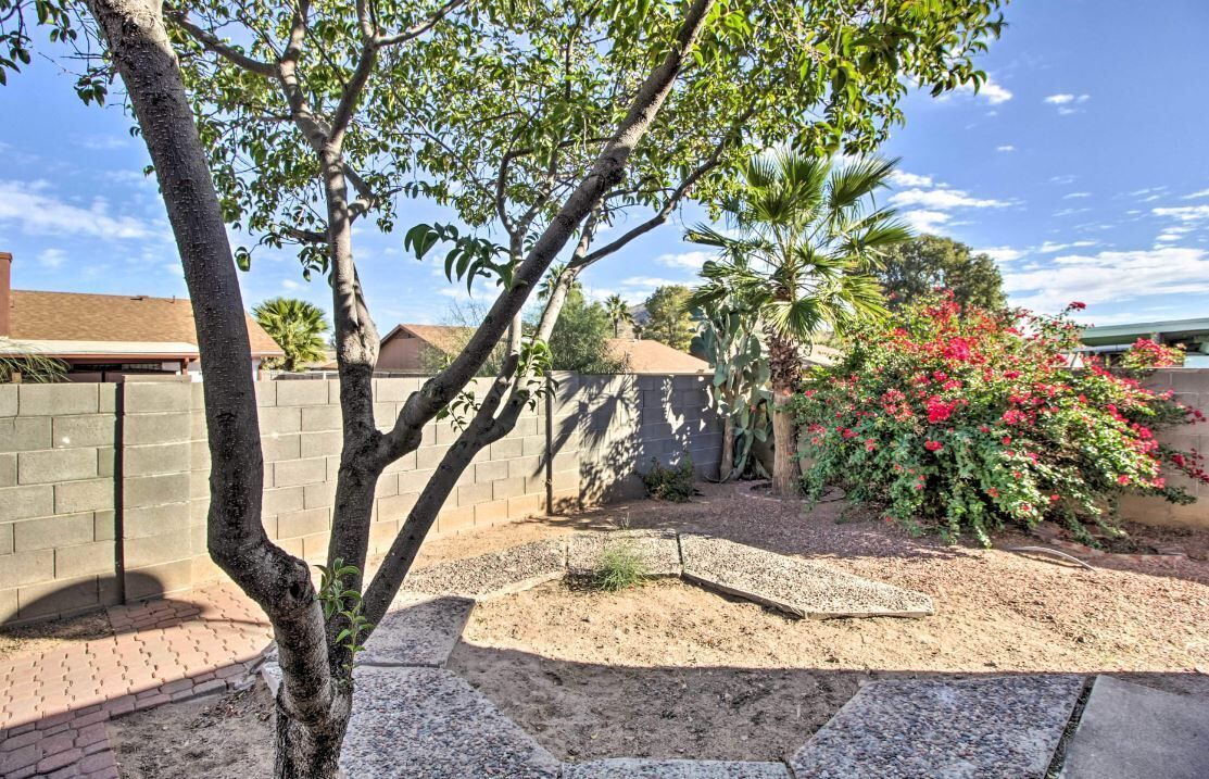 Àrea exterior de l'allotjament