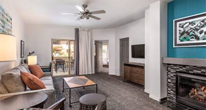 Desert Oasis-Resort Fun