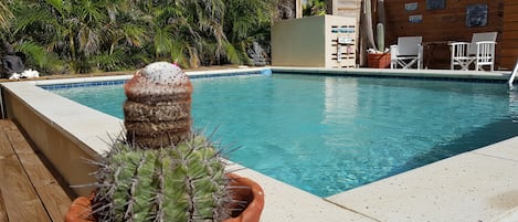 Outdoor pool, open 8:00 AM to 10:00 PM, sun loungers