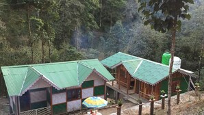 Una casa de madera rústica con techo verde, rodeada de un área boscosa.