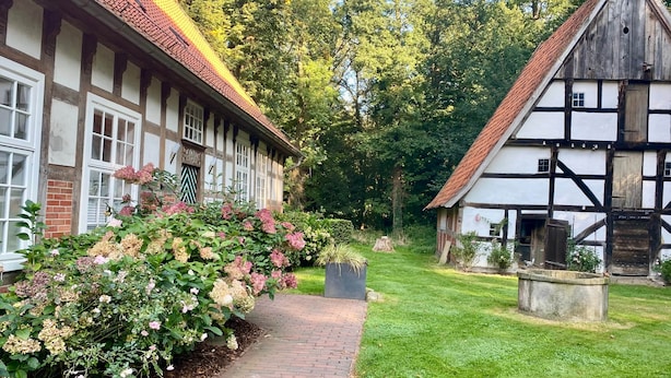 Een traditioneel vakwerkhuis met een met baksteen bestraat pad er naartoe, omringd door weelderige begroeiing en bloeiende planten.