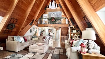 Smart TV, fireplace, DVD player, books