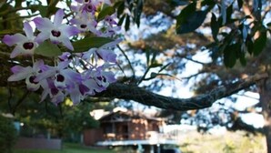 Garden - Linda Casa de Campo (Viamao)