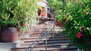 A staircase surrounded by potted plants and flowers. - Beautiful, air-conditioned studio in a 3-star hotel: 2 pools + INTERNET, right on the water (Les Trois-Îlets)