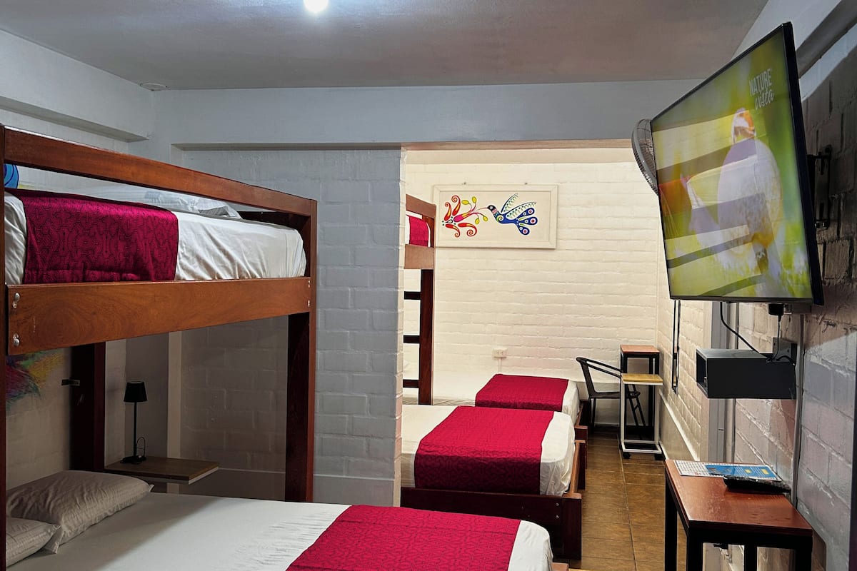 A dormitory room with bunk beds, a television, a desk, and a brick wall.