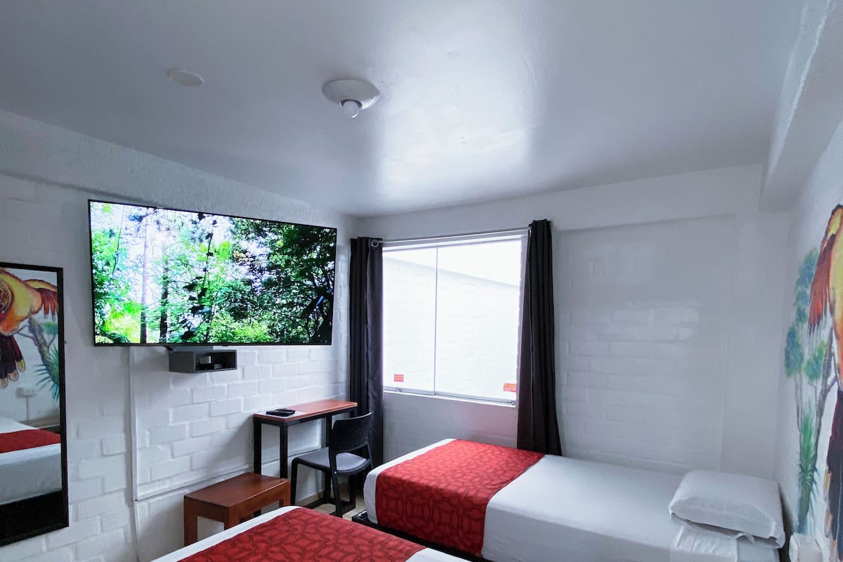 Basic Twin Room