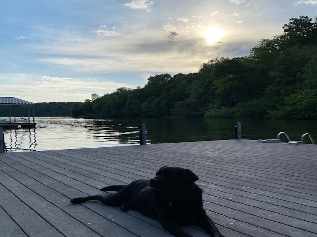 Beautiful Lake House that sits on Tims Ford Lake