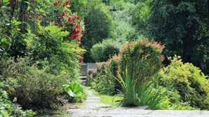 Een pad van stenen dat door een weelderige tuin slingert, vol planten en struiken.