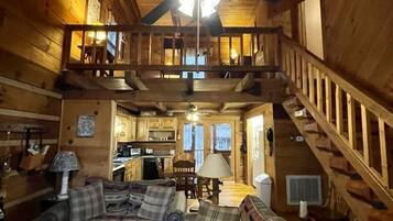 Télévision, cheminée, lecteur de DVD, livres