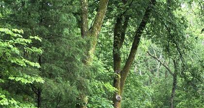 Bourbon Estate Trail sleeps 12, 6 BRs, 47ac of Waterfalls, Meadows and Creek