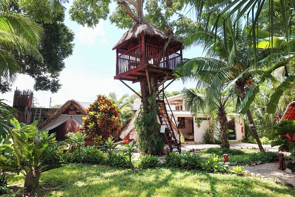 Exterior - El Búho Eco-Cabañas Hostal. (Bacalar)