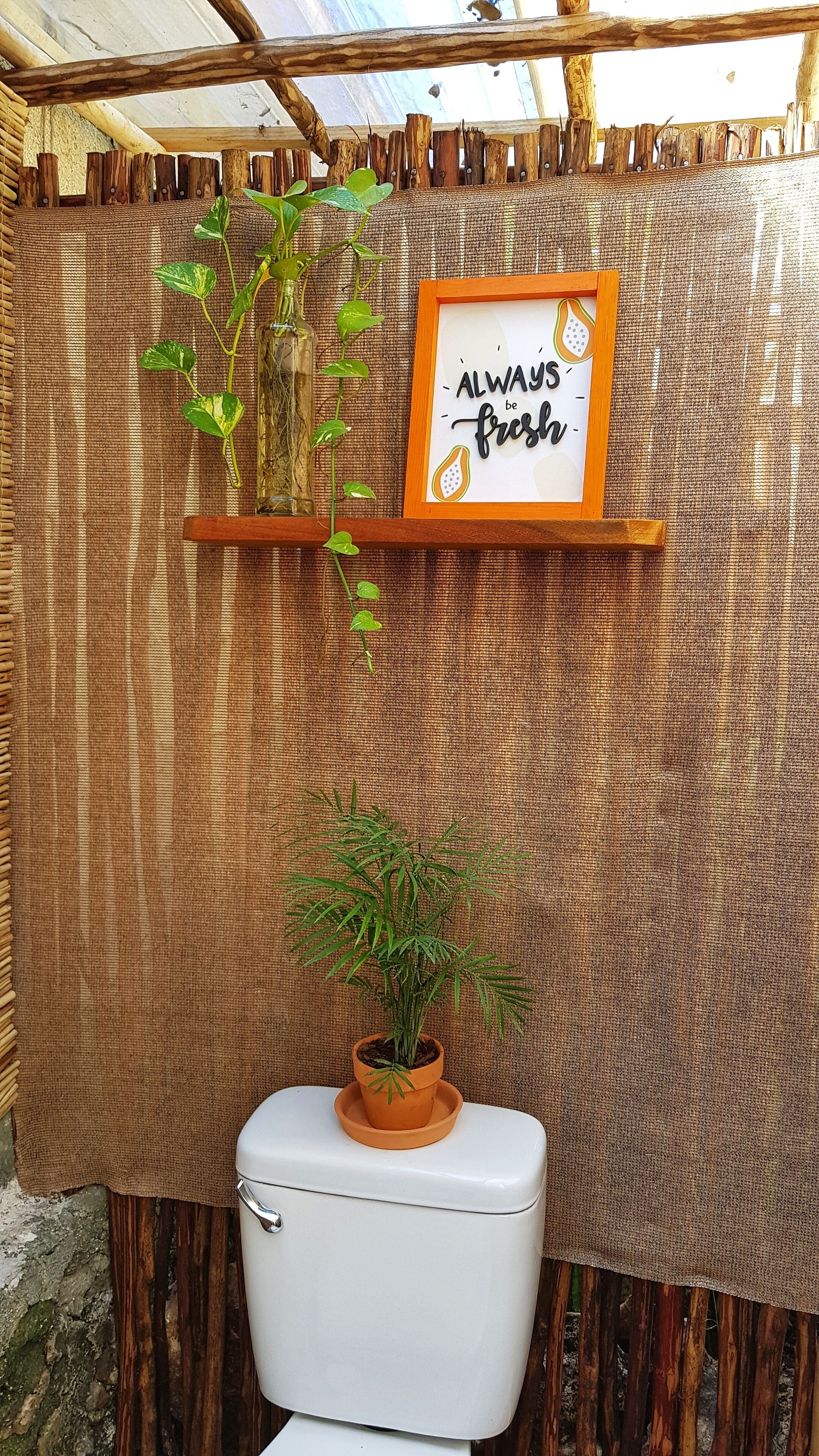 Foto - El Búho Bacalar Eco-Cabañas Hostal