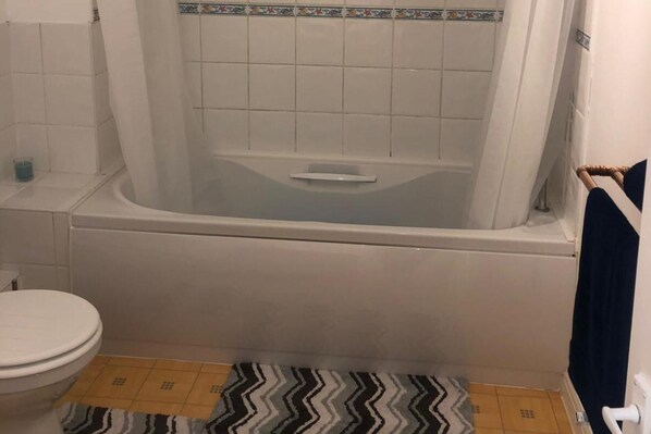 A bathroom with a bathtub, toilet, and a patterned rug on the floor.