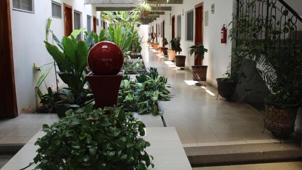 A corridor with potted plants, a red spherical object, and a staircase with a metal railing. - Hotel Casa Blanca (Tuxtla Gutierrez)