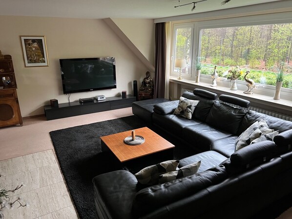 Smart TV, fireplace, DVD player