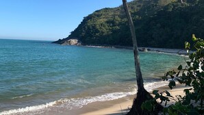 A beach with a palm tree, clear blue water, and a hilly backdrop.