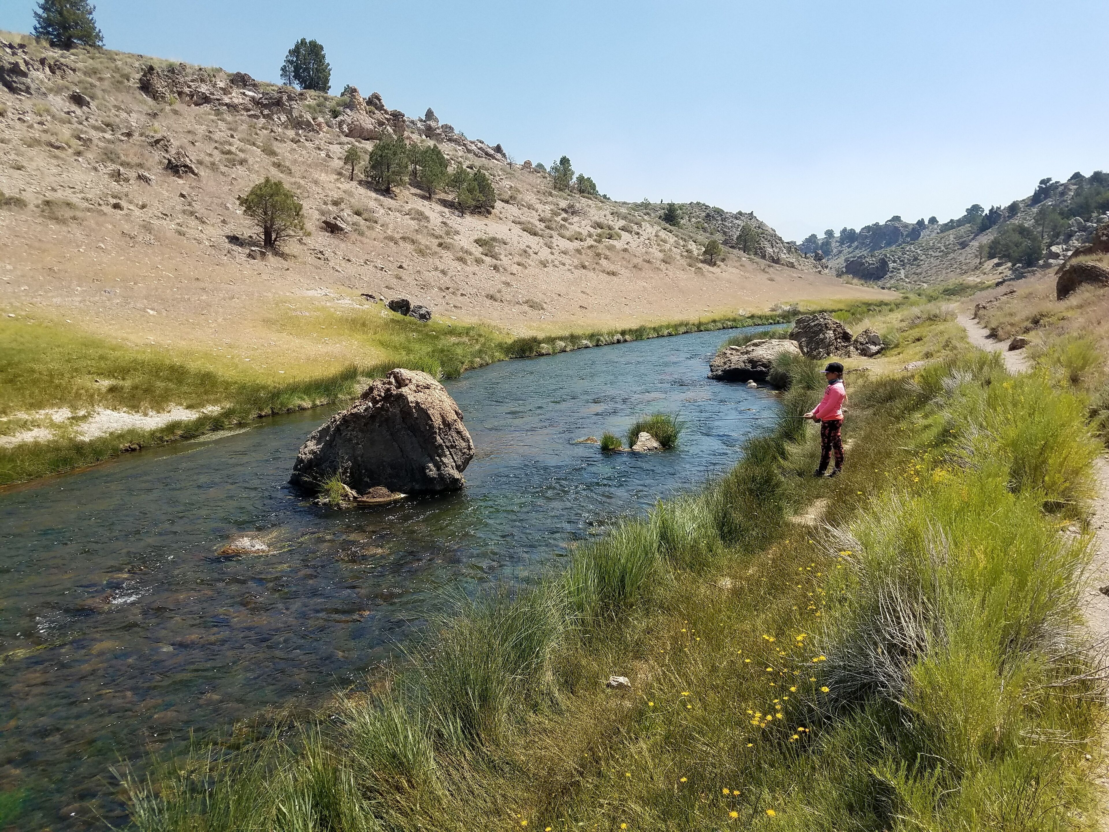A river with large rocks, grassy banks, and a clear sky.