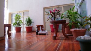 Una stanza spaziosa con pavimento in legno, diverse piante in vaso e un'ampia finestra che lascia entrare luce naturale.