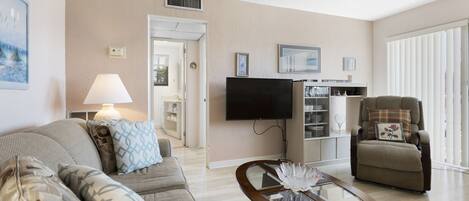 تلفزيون، مشغل دي في دي