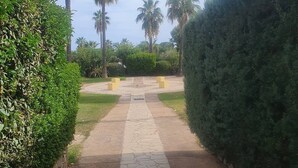 Un camino pavimentado bordeado de exuberante vegetación y palmeras, que lleva a la entrada de un edificio.