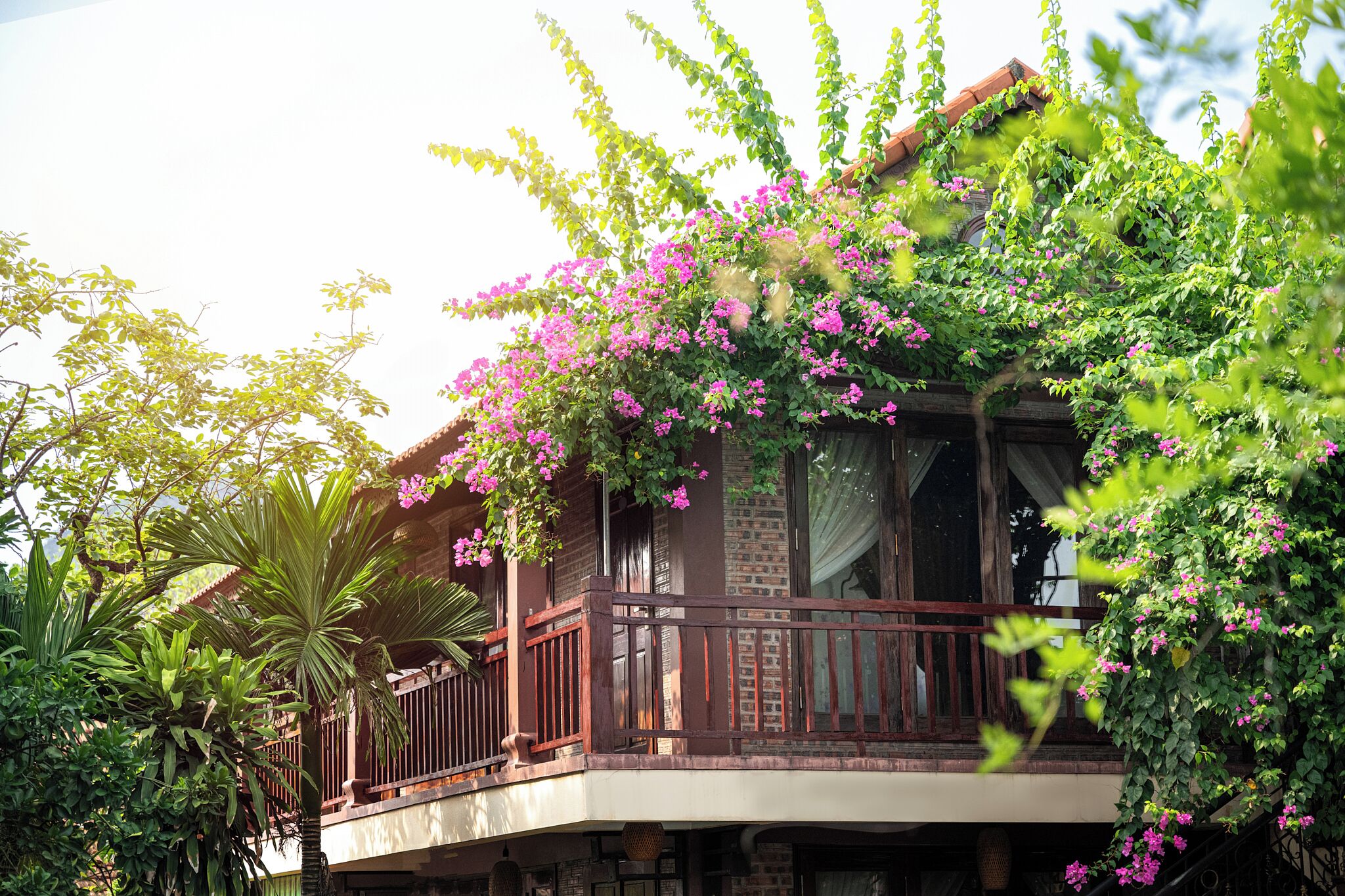 A two-story building with a balcony, surrounded by lush greenery and flowering plants.