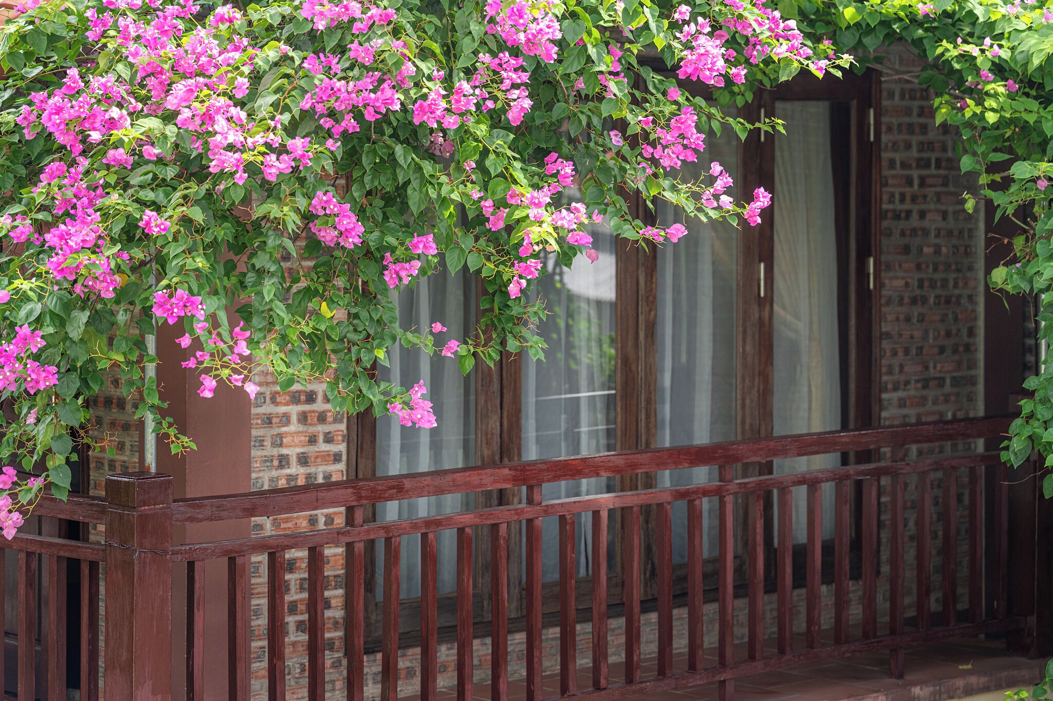 A balcony with a wooden railing, covered in pink flowers, and a brick wall in the background.