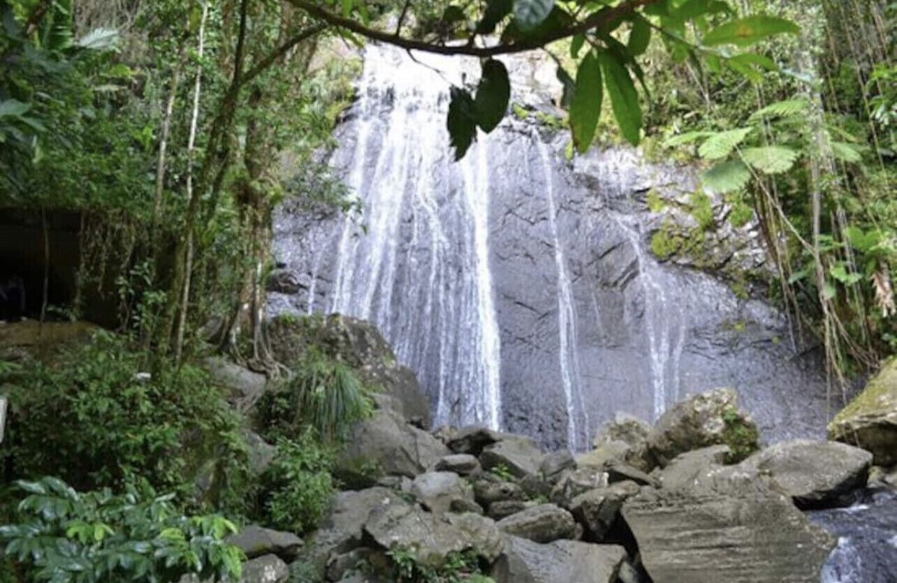 A waterfall surrounded by rocks and greenery.