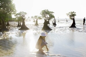 Ecotours