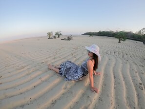 A person sitting on a sandy beach with sparse vegetation in the background.