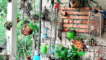 Une variété de plantes en pot disposées sur une table en bois et suspendues au mur.